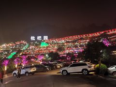 -枇杷园食为鲜火锅(南山店)