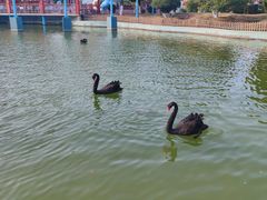 -蓬莱欧乐堡梦幻世界