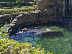 -沈阳森林动物园