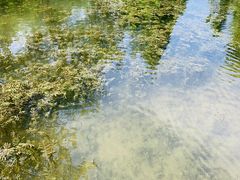 -白水寺森林公园