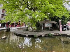 -老船夫石锅苗苗鱼·老字号(三道堰总店)