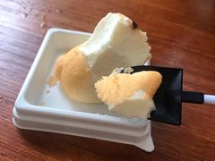 -柴犬高等学院·狗咖·柴犬售卖·宠物训练