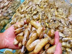 -四海蒸鲜蒸汽海鲜自助(北戴河店)