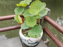 -西湖游船