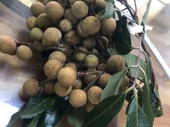 -田源农家饭店·窑鸡王·海鲜(东部湾·融创店)