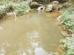 -山沟沟景区