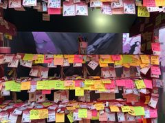 -火影忍者动画多媒体展