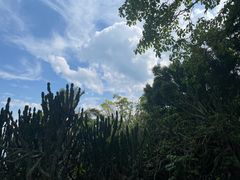 -南诏风情岛