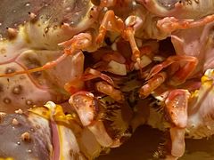 -蟹田居·活蟹料理(东城店)