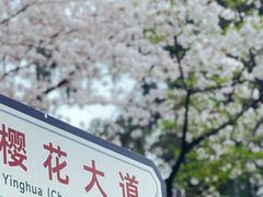 -武汉大学-樱园