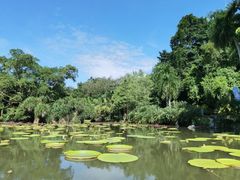 -中国科学院西双版纳热带植物园