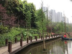 -重庆彩云湖湿地公园