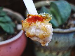 -九秋茶铺(三里屯店)