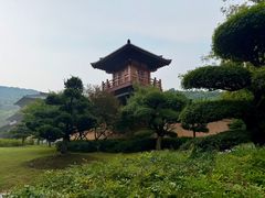 -习家池