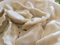 -北方饺子王·海肠捞饭·海鲜锅(山大店)