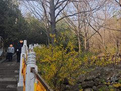 -红螺寺