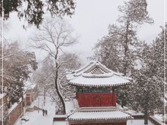 -香山公园