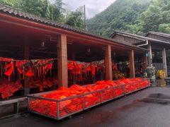 -藏龙百瀑漂流