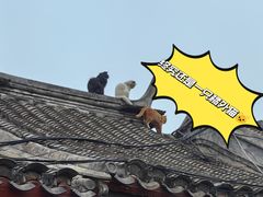 -五道营胡同