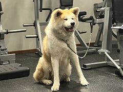 -YCHL Studios健身工作室(市二宫店)