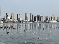 -海河外滩公园
