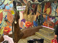 -正佳雨林生态植物园
