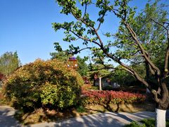 -济南大明湖景区