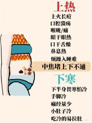 -玛莲朵·海菲秀冰珀科