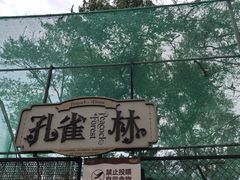 -南戴河国际娱乐中心