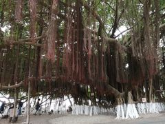 -胡里山炮台