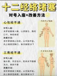 点击看大图 -玛莲朵·海菲秀冰珀科