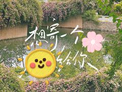 -大望京公园