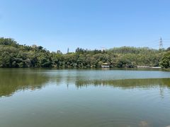 -深圳仙湖植物园