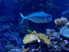 -欢乐海岸海洋奇梦馆
