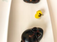 -悦庭六号餐厅(麦岛店)