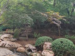 -大连植物园