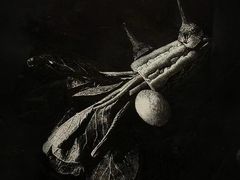 -中华艺术宫