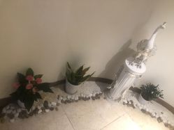 -新生植发·植养护一体