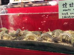 -大树下海鲜饭店