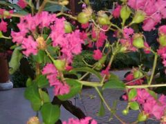 android_upload_pic-万利隆·活力烘焙(人民路店)