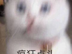 -济州爱肉堂(总店)