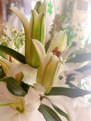 -Oasis Beauty水磨坊科技美肤中心