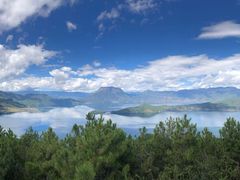 -老家信阳菜(北京路店)