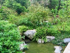 -云溪植物园