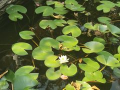 -椒香川流不息川菜馆(二七北路店)