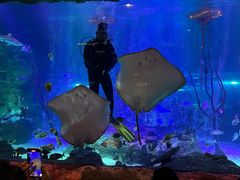 -沈阳海洋探索中心