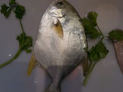 -阿诚市井潮汕菜(金台路店)