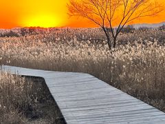 -野鸭湖国家湿地公园