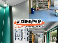-博特宠物医院24h犬猫全科.骨科·异宠