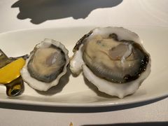 -Oyster Talks 四度蚝法餐厅